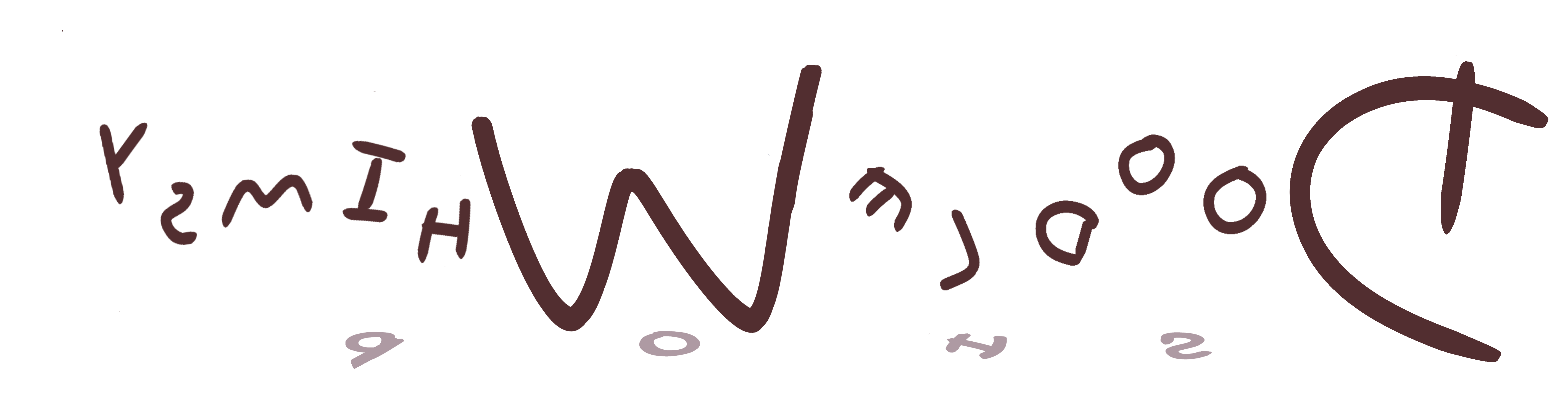 Doodle Whimsy Shop
